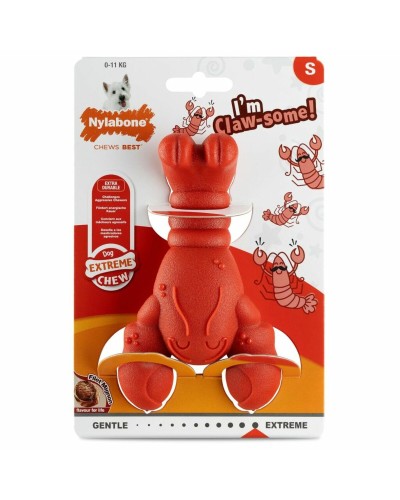 Nylabone Dog Toy in Red with Beef and Veal Flavor, S
