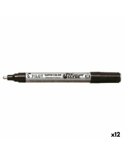 Marqueur Permanent Argent Pilot - Jetable, Lot de 12 Pièces
