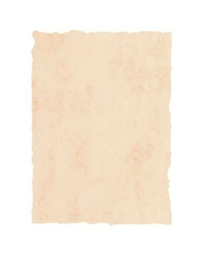 Bakplåtspapper Michel Beige A4 25 Delar