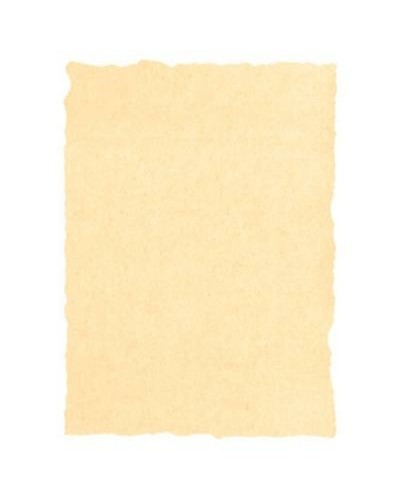 Michel Cream Parchment Paper A4, Pack of 25 sheets for art and calligraphy

