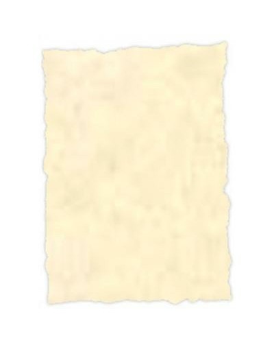 Pergamentpapier Michel Topazio A4 25 Blatt für Zeichnung und Kunsthandwerk
