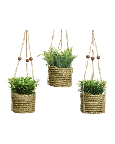 Planta Decorativa Everlands, Colgante de PVC 8 x 12 cm, Cuerda Verde para Decoraciones y Adornos
