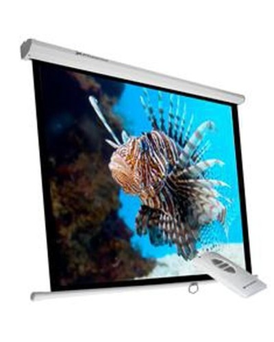 Phoenix ELEC240 Schermo Proiezione 135" Motorizzato per Home Cinema

