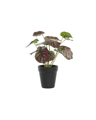 Rosa Verde PE Artificiale DKD Home Decor, 10 x 10 x 27 cm