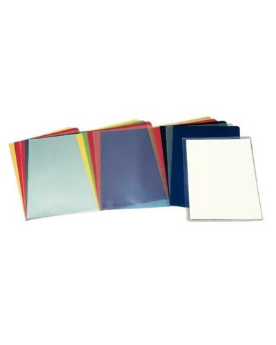 Fodral Esselte Transparent PVC