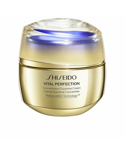 Concealer Shiseido Vital Perfection 50 ml
