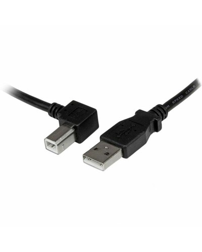 Startech Cable USB A - USB B 3m Negro - Impresora, Escáner
