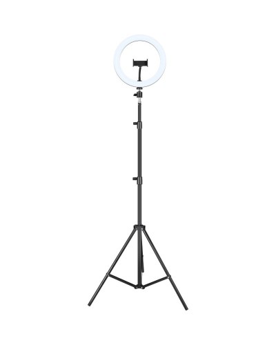 Support Moniteur Noir Ergonomique Réglable en Hauteur et en Inclinaison
