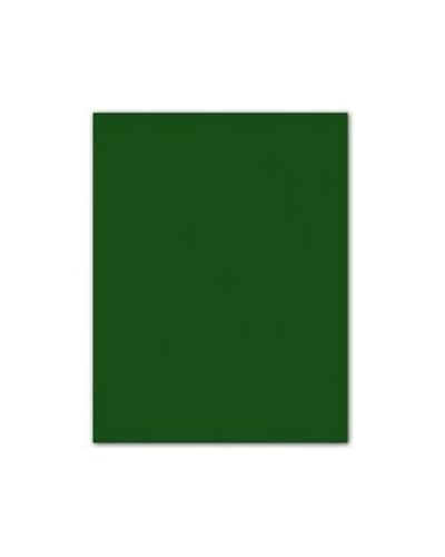 Dark Green Iris Cardstock 50x65 cm - Colored Paper for Drawing and Crafts
