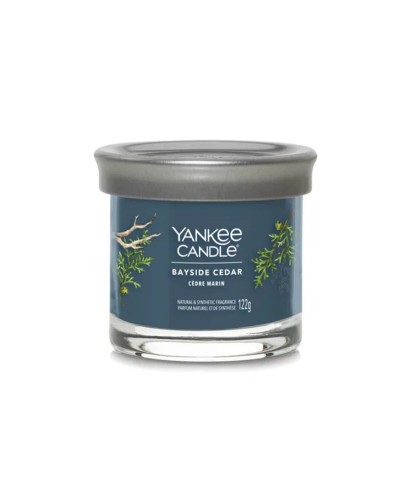 Geurkaars Yankee Candle Bayside Cedar 122 ml