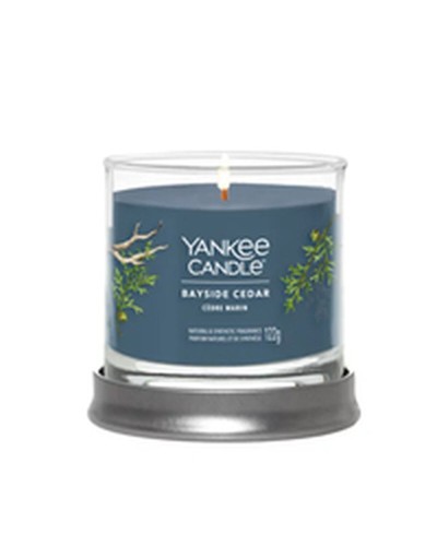 Bougie Parfumée Yankee Candle Bayside Cedar 122 ml