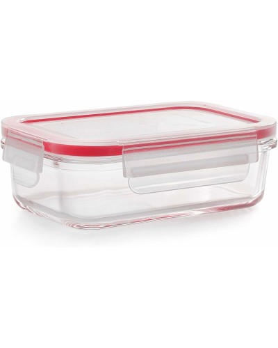 Recipiente para Alimentos Ibili de 500 ml con Junta Hermética y Tapa con Bisagra.
