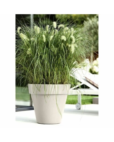 Elho Vaso Fioriera Bianco - 39x36cm - Design Moderno per Interni/Esterni
