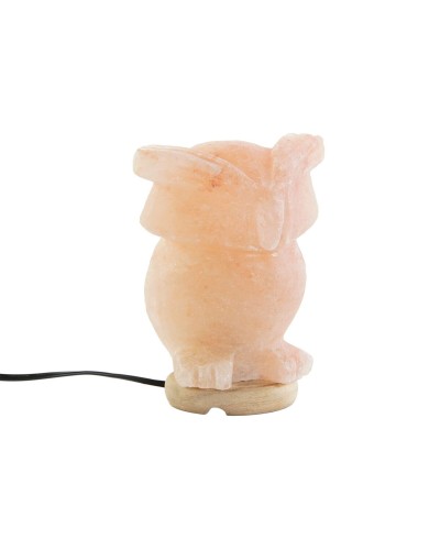 Lampe de Table DKD Home Decor Rose Acacia 14x14x18cm 15W - Design Esci
