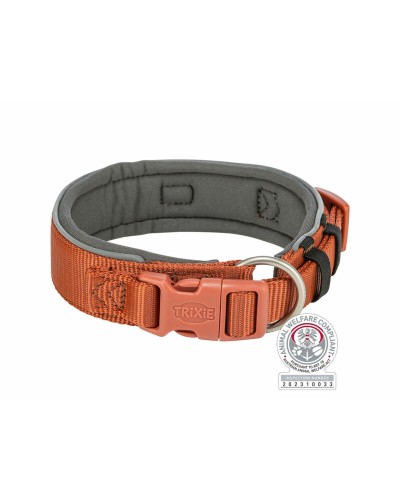 Trixie Collar para Perros Premium Naranja Grafito S/M 33-42cm - Resistente
