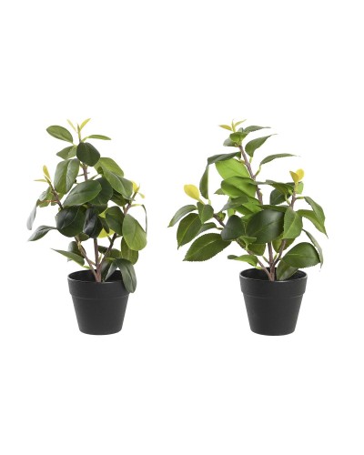 DKD Home Decor Ficus Planta Artificial Verde - 30cm - Set 2 Unidades
