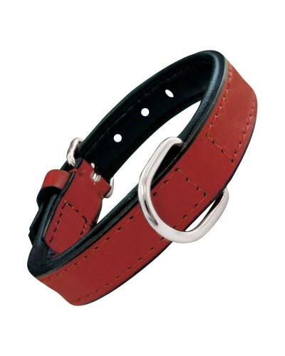 Hundhalsband Gloria Vadderad Röd 50 cm (50 x 2,5 cm)