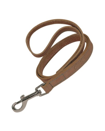 Gloria Oasis Laisse pour Chien 2.1x100cm Marron - Résistante et Confortable

