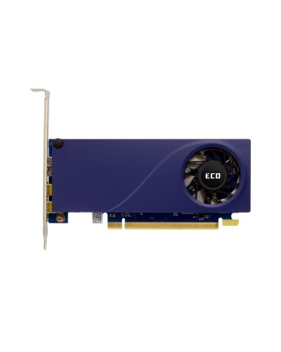 Sparkle Carte Graphique GDDR6 - Gaming Entrée de Gamme 1A1-S00401900G
