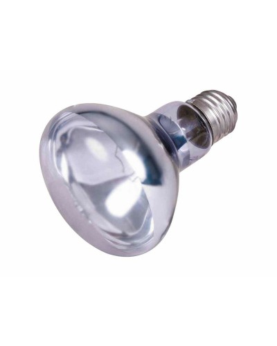 Trixie Infrared Heat Lamp 75W - Reptile Terrarium Heating
