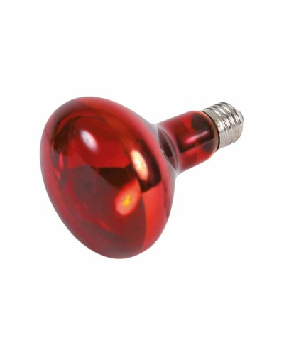 Trixie Infrarotlampe 75W - Wesentliche Wärme für Reptilien und Tiere
