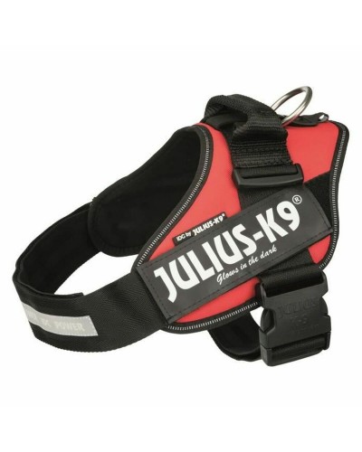 Hundsele Julius K9 IDC Röd L 1
