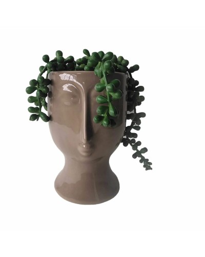 Plante décorative DKD Home Decor Céramique PE (11 x 10 x 16 cm)