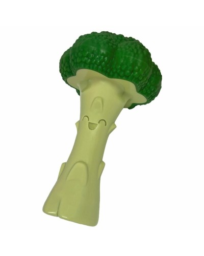 Hondenspeelgoed Nylabone Groen Kunstmatig L