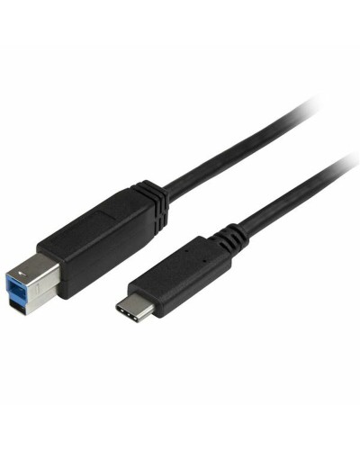 USB C till USB B Kabel Startech USB315CB2M           (2 m) Svart