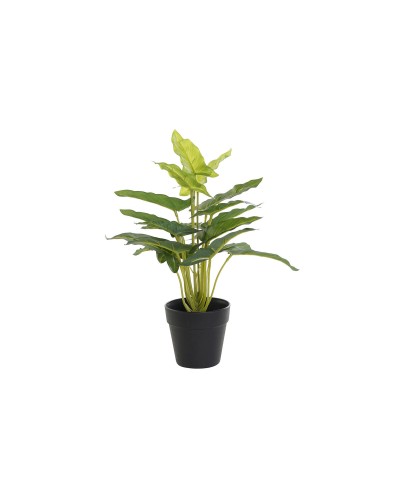 Decoratieve plant DKD Home Decor PVC Polypropyleen 25 x 25 x 30 cm