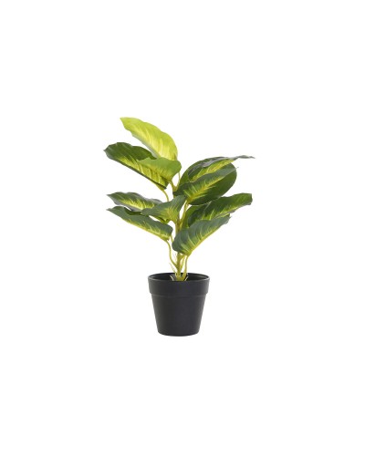 Decoratieve plant DKD Home Decor PVC Polypropyleen 25 x 25 x 30 cm