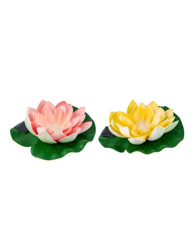 Pianta Decorativa Lifetime ø 17,5 x 6 cm Plastica Loto Organica Fiore