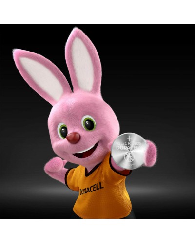 Pilas DURACELL 3V (10 Unidades)