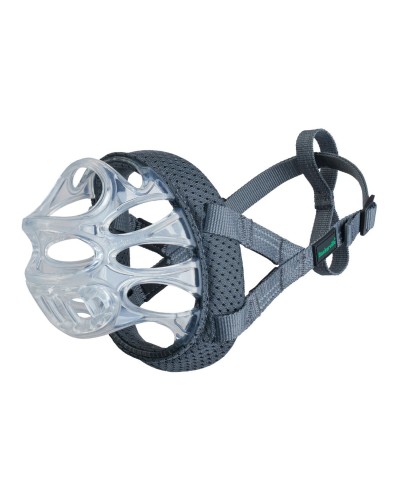 Muzzle Company of Animals Transparent 2