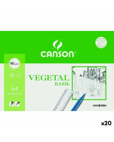 Piirustuspaperi Canson VEGETAL BASIK A4 12 Levyt (20 osaa)
