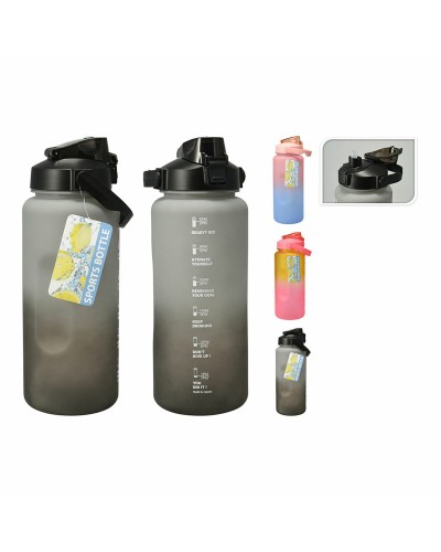 Water bottle Lifetime 2 L Plastic