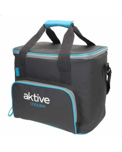 Kannettava Jääkaappi Aktive 20 L