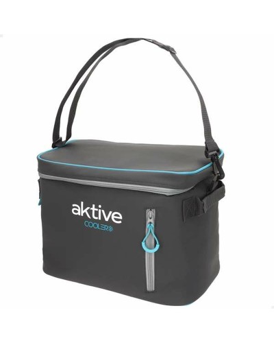 Bärbar kyl Aktive 18 L 34 x 21 x 26 cm