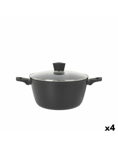 Topf mit Deckel MasterChef 28 cm (4 Stück)