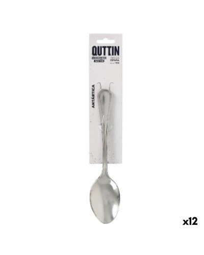 Jälkiruokalusikka Quttin Antartica 3 Kappaletta (12 osaa)