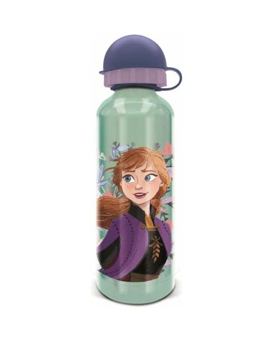 Botella de Agua Frozen Alta Frozen Snowy Tale Aluminio 530 ml