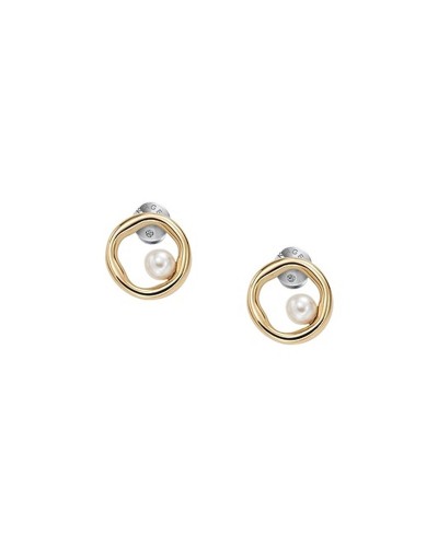 Ladies' Earrings Skagen SKJB1009710