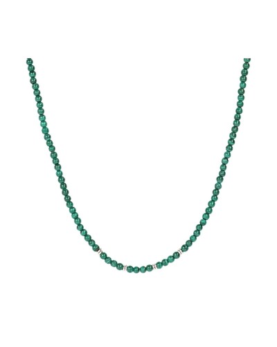 Damhalsband Albert M. WSOX00209.MLC