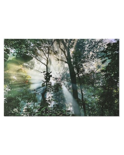 Bild Home ESPRIT grün Gedruckt 150 x 0,4 x 100 cm