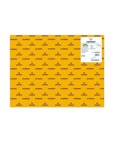 Cartoncini Multicolore Marrone Chiaro Iris A4 (21 x 29,7 cm)