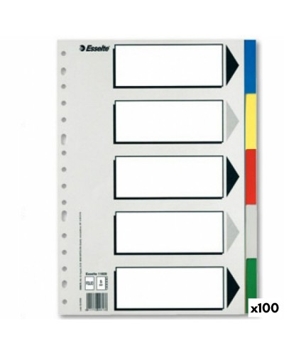 Separatorer Esselte 5 ark Multicolour Din A4 (100 antal)