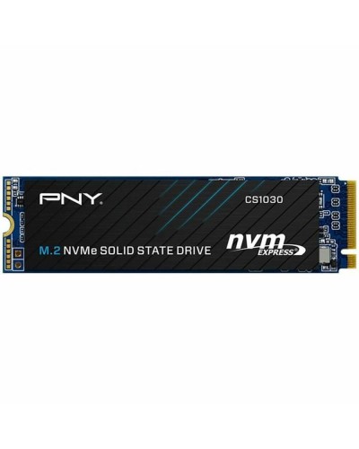 Hårddisk PNY M280CS1030-250-RB