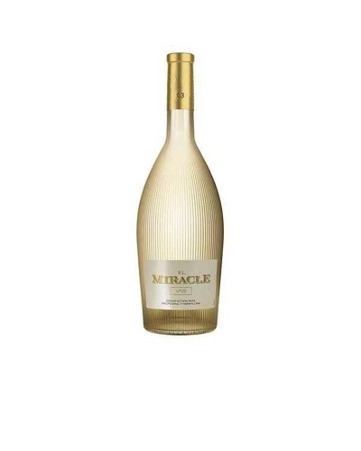 Vicente Gandia White Wine (6 bottles)
