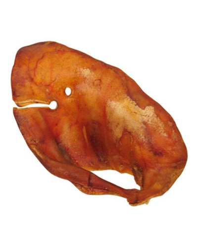 GLORIA animal feed, rich in protein, for a balanced diet
