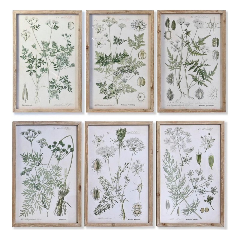 Painting DKD Home Decor Fir Crystal Botanical plants (6 Units) (40 x 2 x 60 cm)